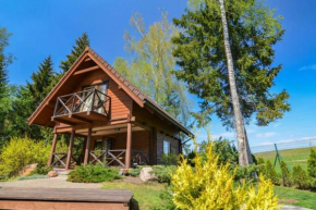 Rustic private Cabin in woods w/ Sauna & Pool, Vilnius